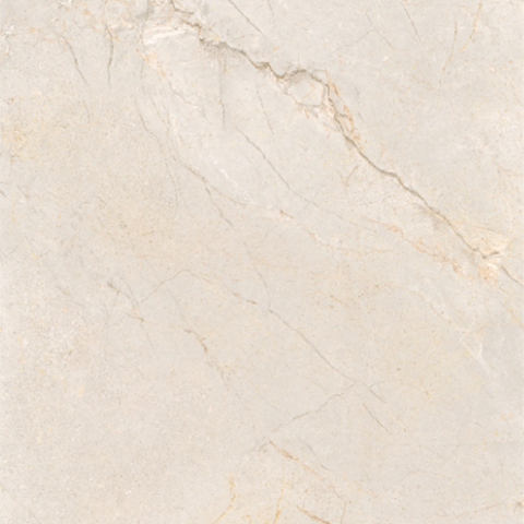 SILVER ROOT-21.B.612.2856